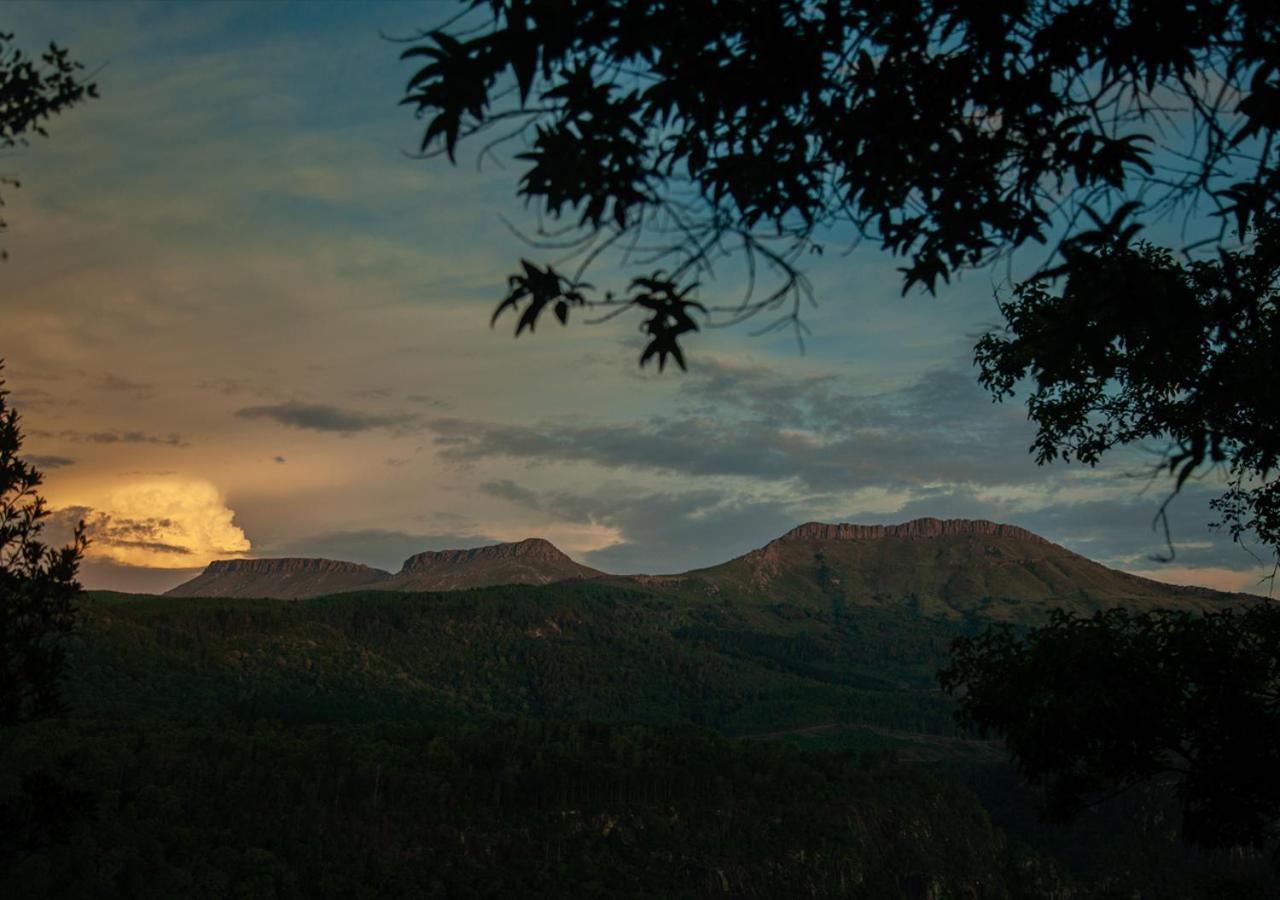 Away With The Fairies Nature Lodge And Backpackers Hogsback Zewnętrze zdjęcie